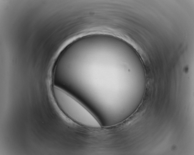 X0000103271523200808291054