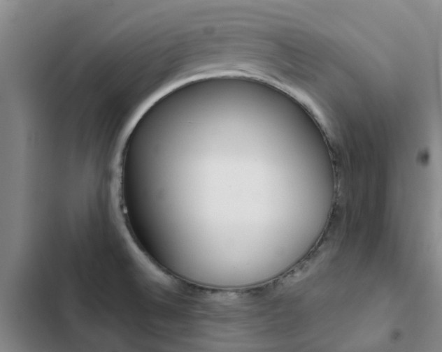 X0000103271524200808291054