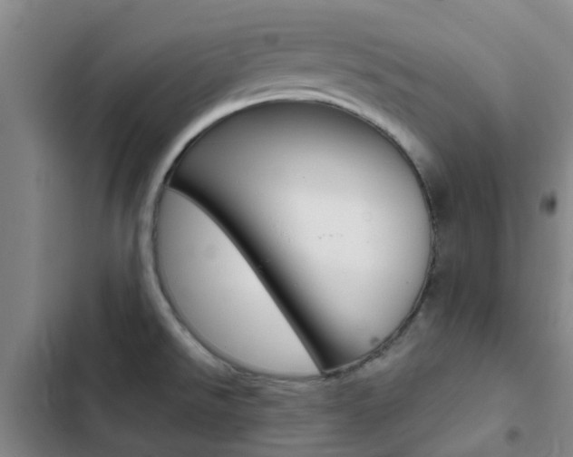 X0000103271526200808291054