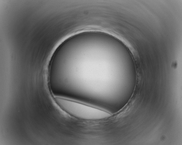 X0000103271527200808291055