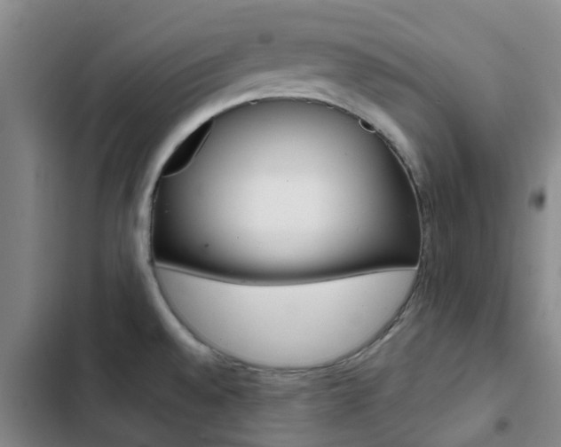 X0000103271528200808291055