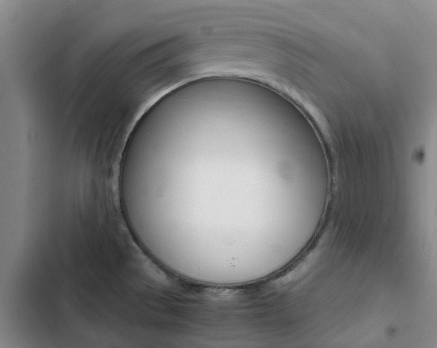 X0000103271529200808291055