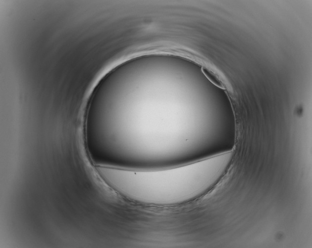 X0000103271530200808291055