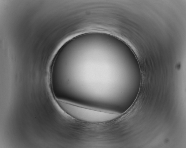X0000103271531200808291055