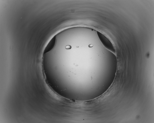 X0000103271532200808291055