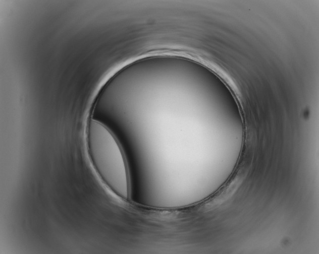 X0000103271533200808291055