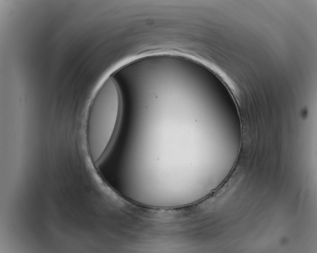 X0000103271534200808291055