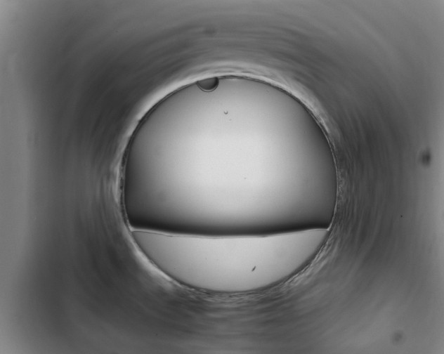 X0000103271535200808291055