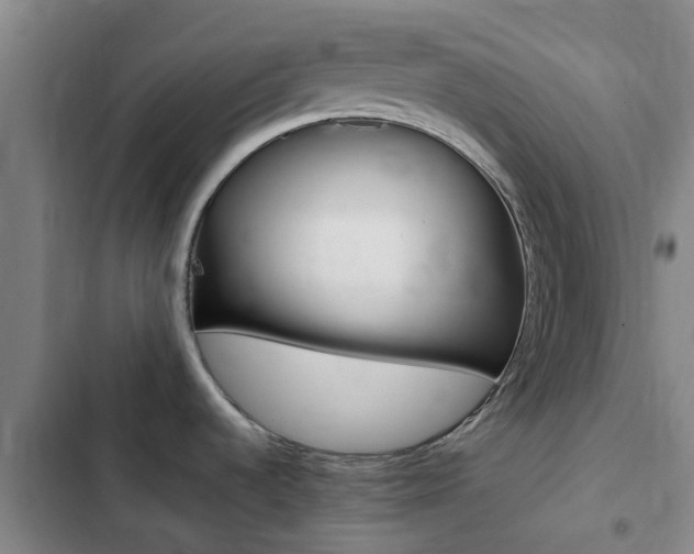 X0000103271536200808291055
