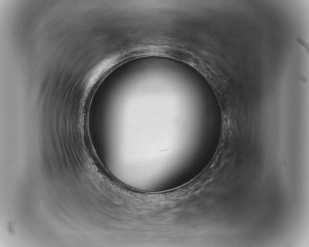 X0000103270006200808291250
