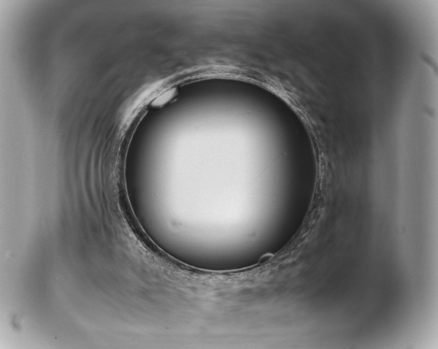 X0000103270007200808291250