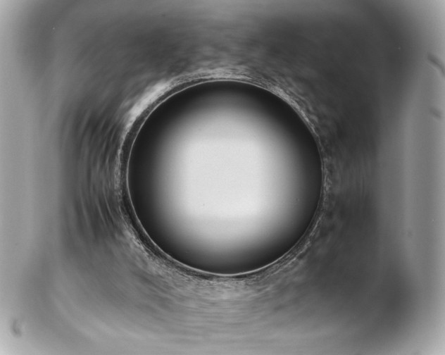 X0000103270008200808291250