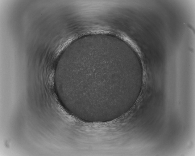 X0000103270009200808291250