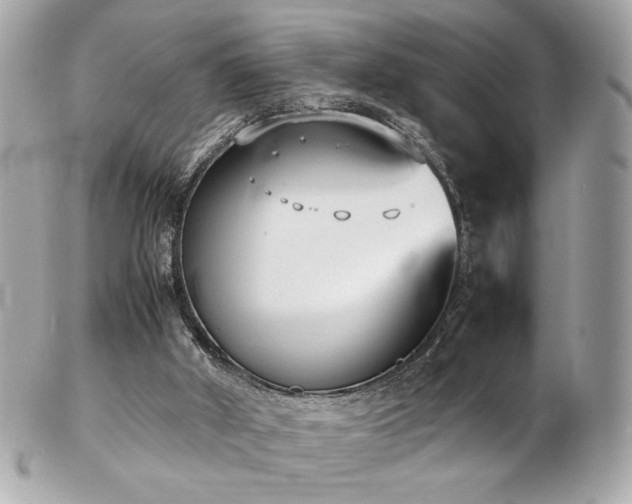 X0000103270010200808291250