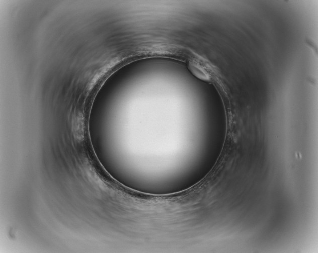 X0000103270012200808291250