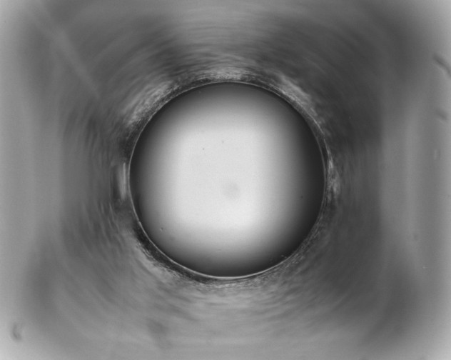 X0000103270013200808291250