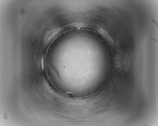 X0000103270014200808291250