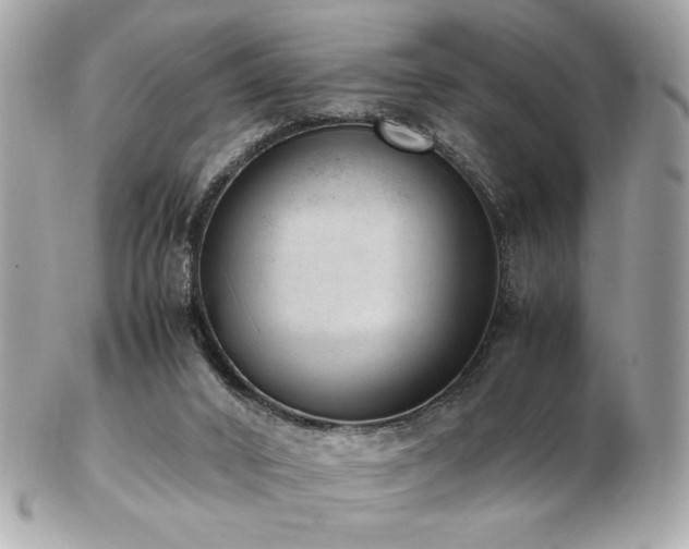 X0000103270016200808291250