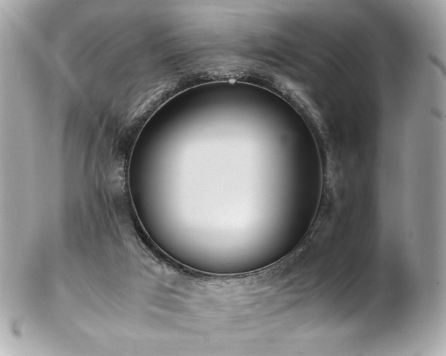 X0000103270017200808291250