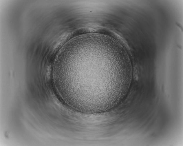 X0000103270018200808291250