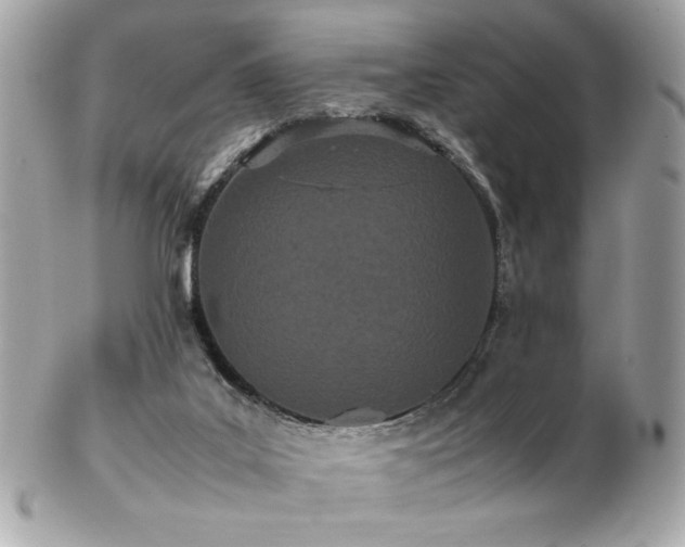 X0000103270019200808291250