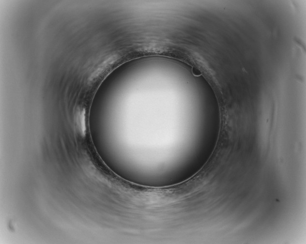 X0000103270020200808291250