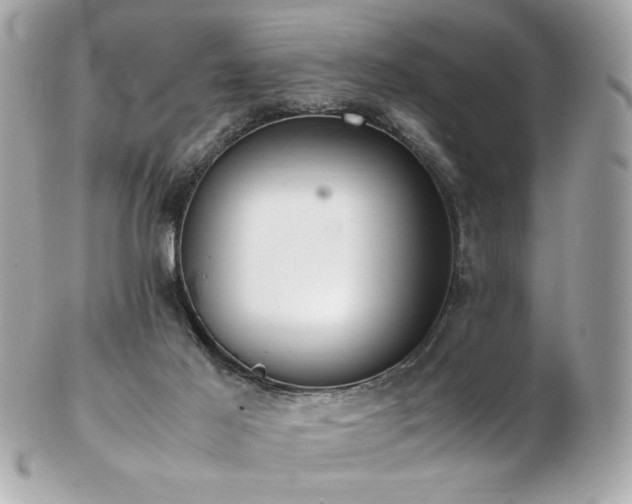 X0000103270021200808291250