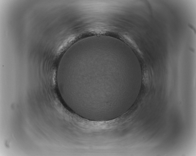 X0000103270023200808291250