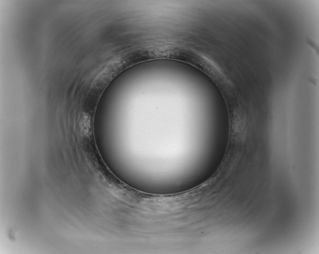 X0000103270025200808291250