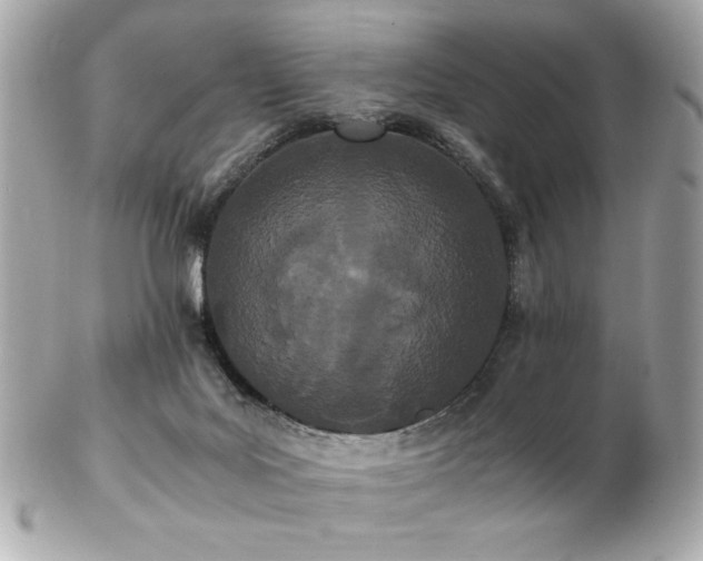 X0000103270027200808291250