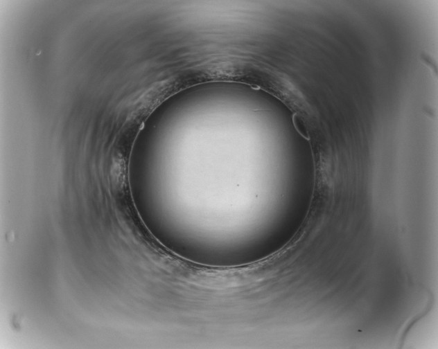 X0000103270029200808291250