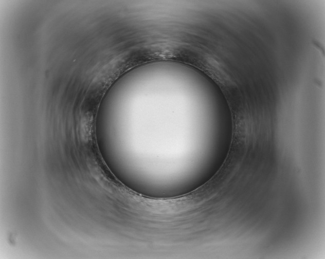 X0000103270030200808291250