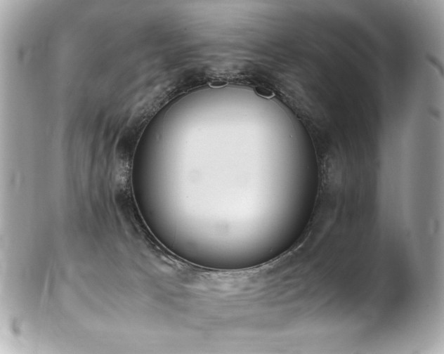 X0000103270033200808291250