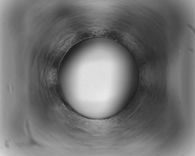 X0000103270034200808291250
