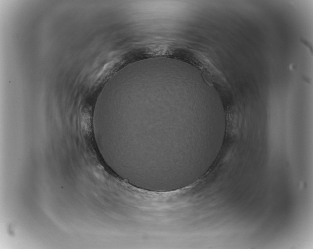 X0000103270035200808291250