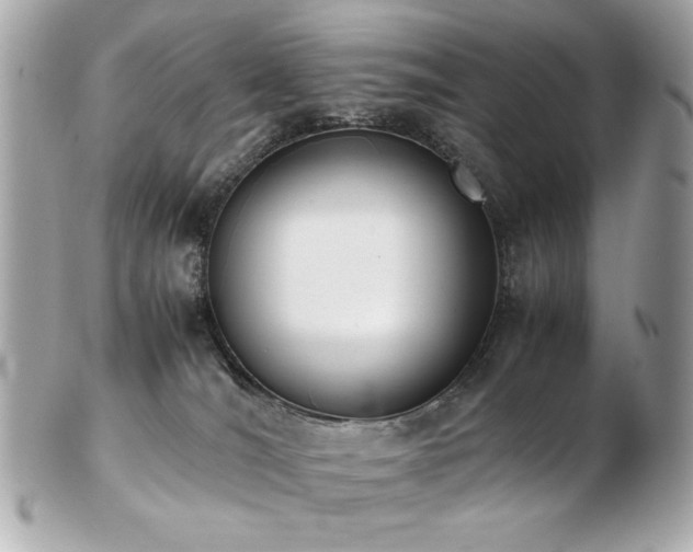 X0000103270036200808291250