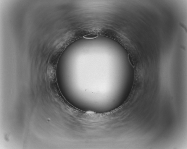 X0000103270037200808291250