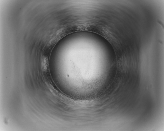 X0000103270038200808291250
