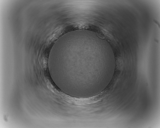 X0000103270039200808291250