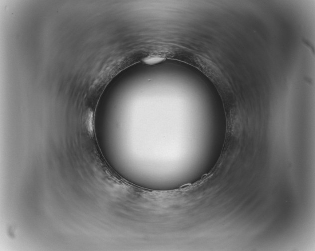 X0000103270041200808291250