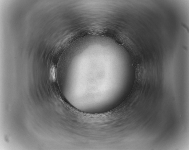 X0000103270042200808291250