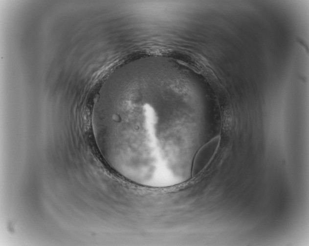 X0000103270043200808291250