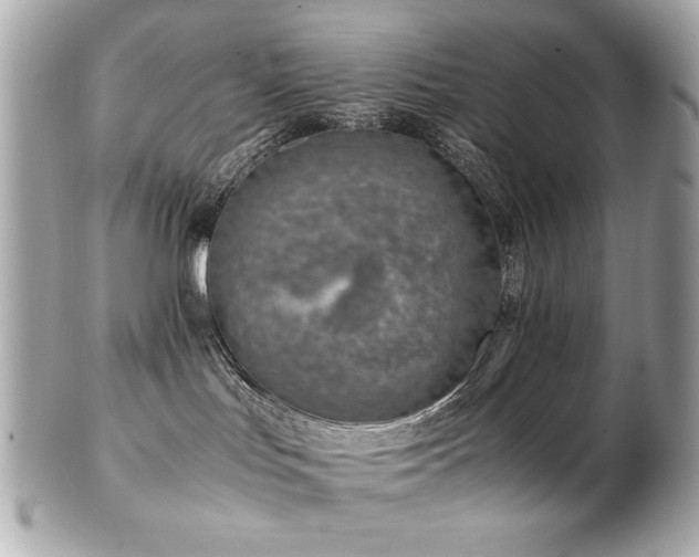 X0000103270047200808291250