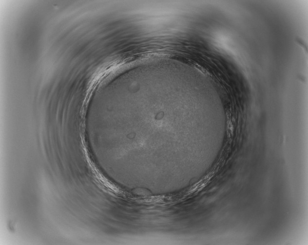 X0000103270049200808291249