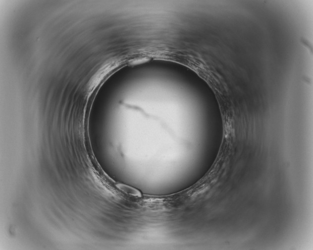 X0000103270052200808291249