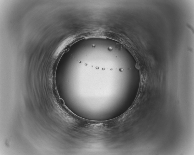 X0000103270054200808291249
