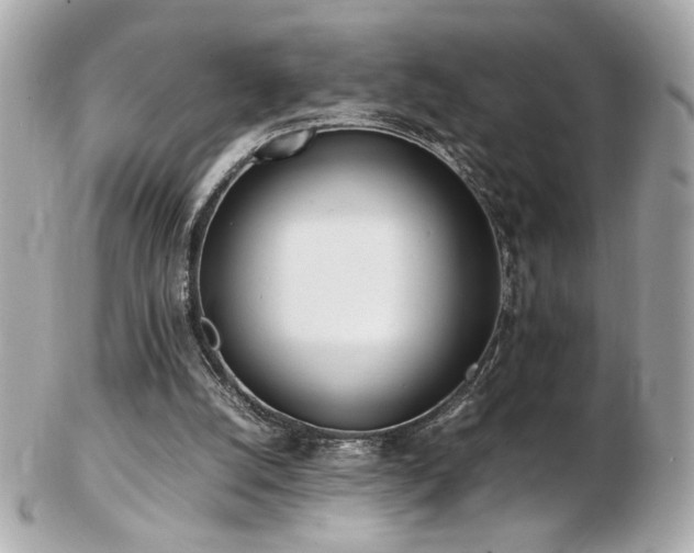 X0000103270056200808291249