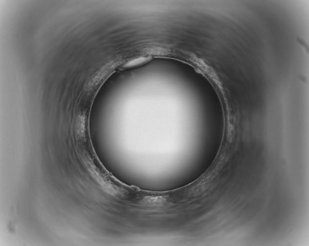 X0000103270057200808291249