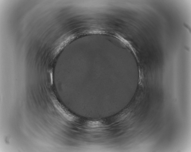 X0000103270061200808291249