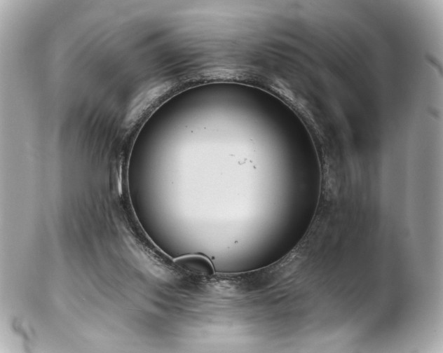 X0000103270062200808291249